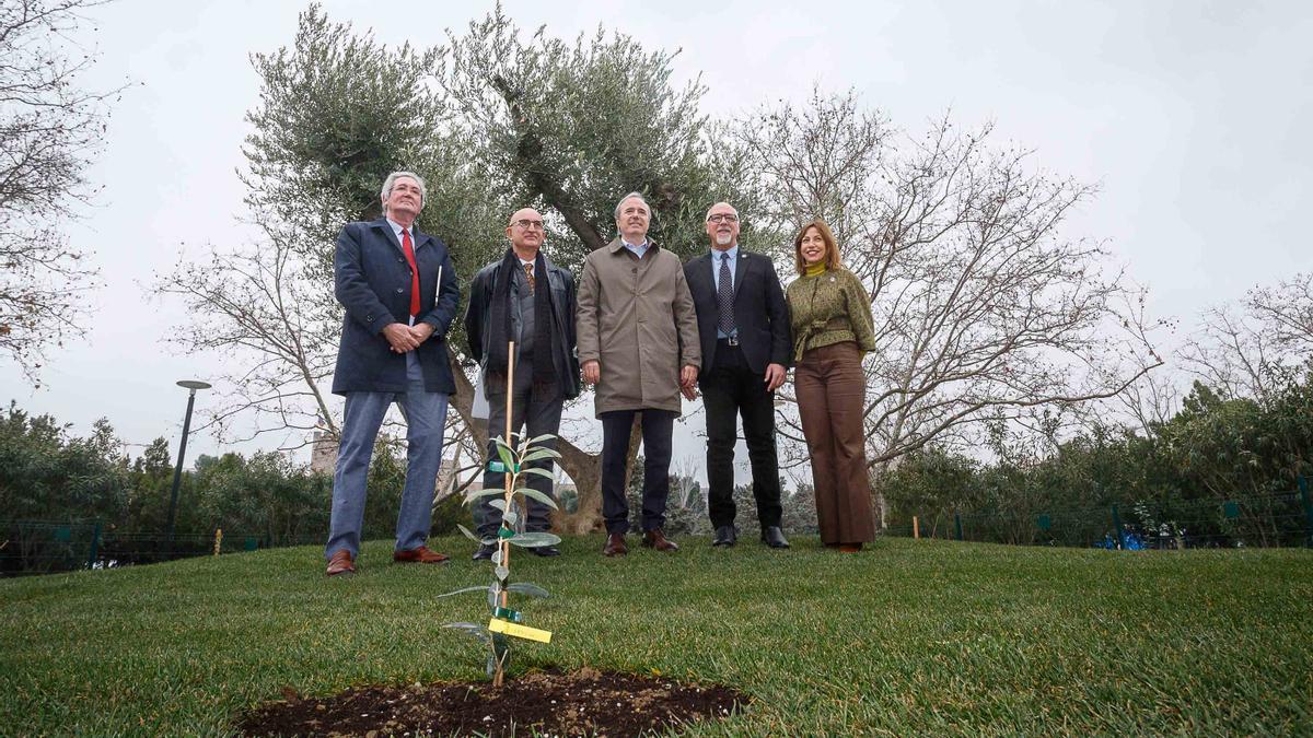 El espacio, ubicado en pleno centro del Parque de la Aljafería, será un símbolo para promover la paz, la tolerancia y el respeto entre culturas a través del olivo, símbolo de identidad y fraternidad mediterránea.