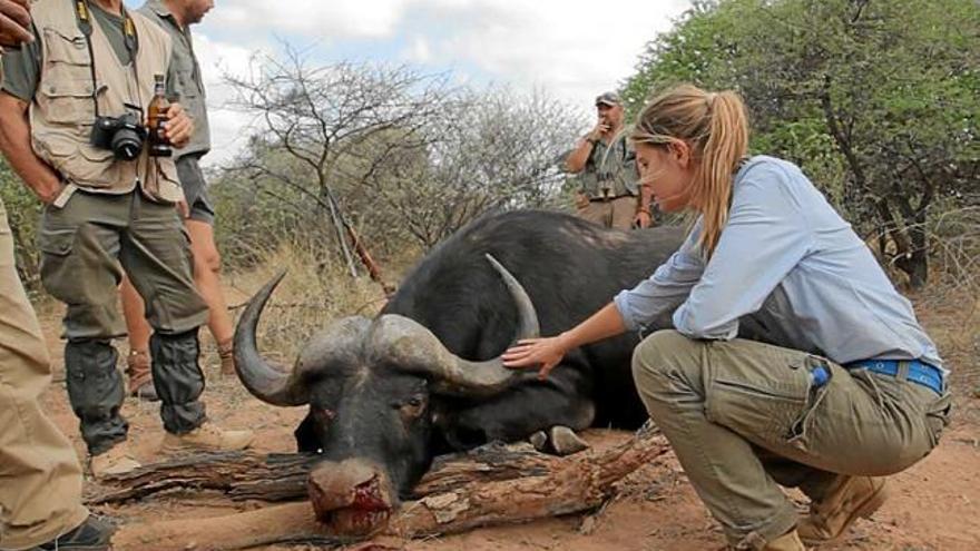 Una imatge del documental &quot;Turisme de safari: pagar per matar&quot;