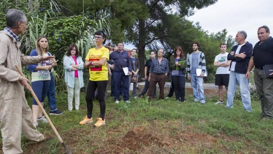 El Consell destina 40 millones a incentivar nuevos agricultores jóvenes