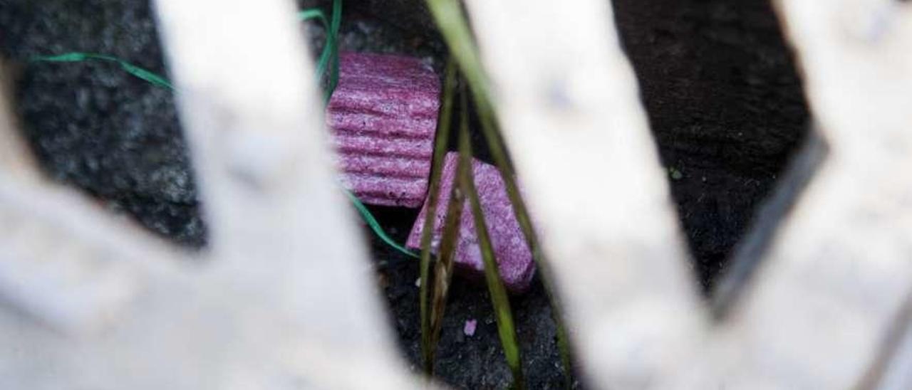 Bloques de raticida colgados de la tapa de una alcantarilla en A Estrada. // Bernabé/Cris M.V.