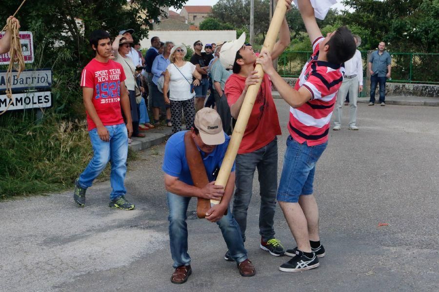 Romería de la Virgen del Castillo en Fariza