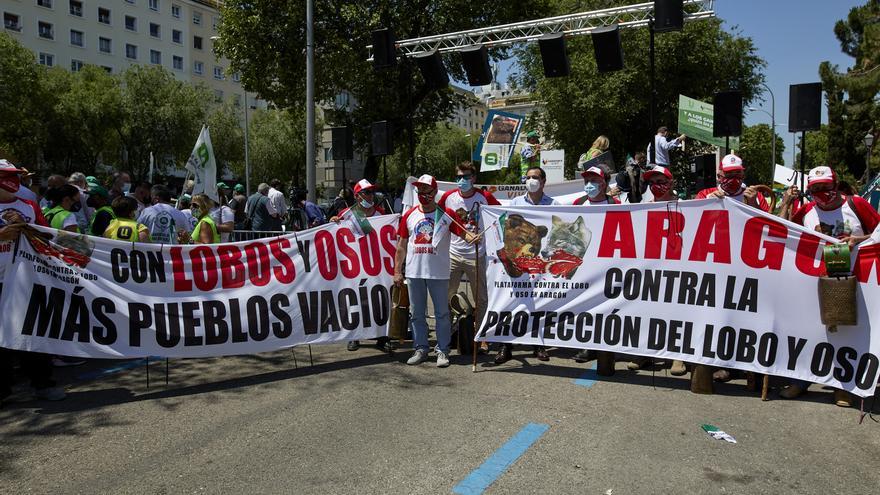 Europa rechaza rebajar la protección del lobo ya que &quot;su situación sigue siendo desfavorable&quot;