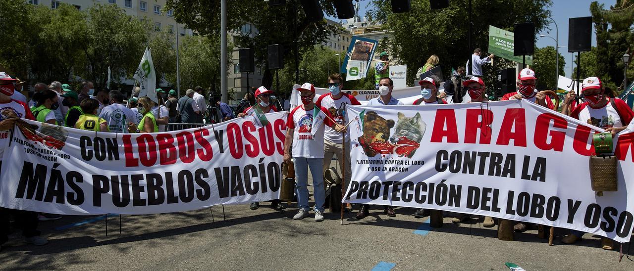 Agricultores y ganaderos se manifiestan frente a la sede del Ministerio para la Transición Ecológica y el Reto Demográfico para protestar por la inclusión del lobo en el Listado de Especies Silvestres en Régimen de Protección Especial (LESPRE)