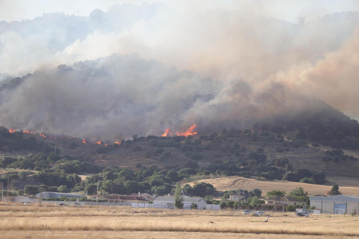 Llamas en una de las zonas de la Sierra de Córdoba en la que se ha producido el incendio.