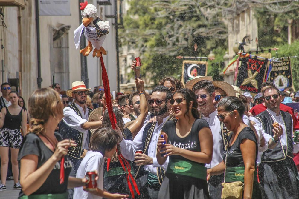 El día del Pájaro en Orihuela