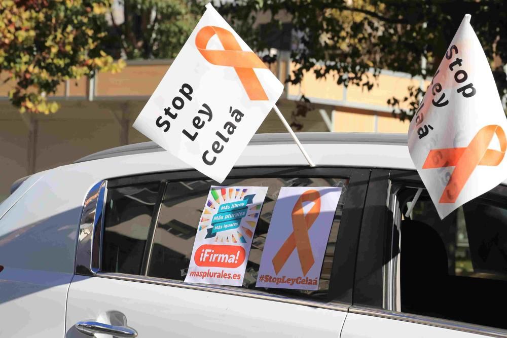 Protesta en Cartagena contra la Ley Celaá