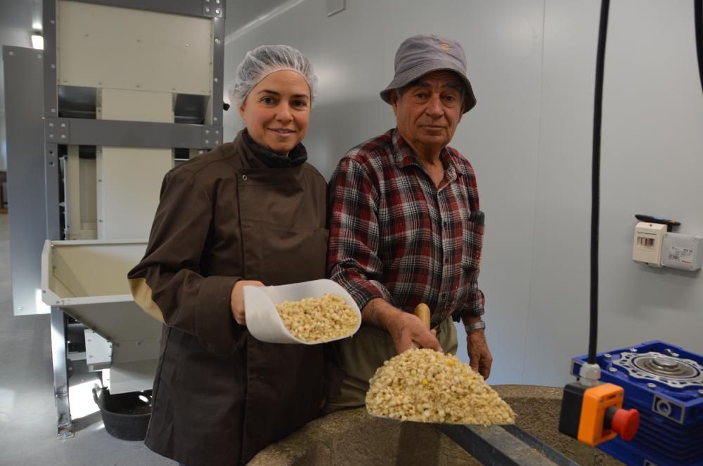Maria Costa aposta pel conreu del blat de moro