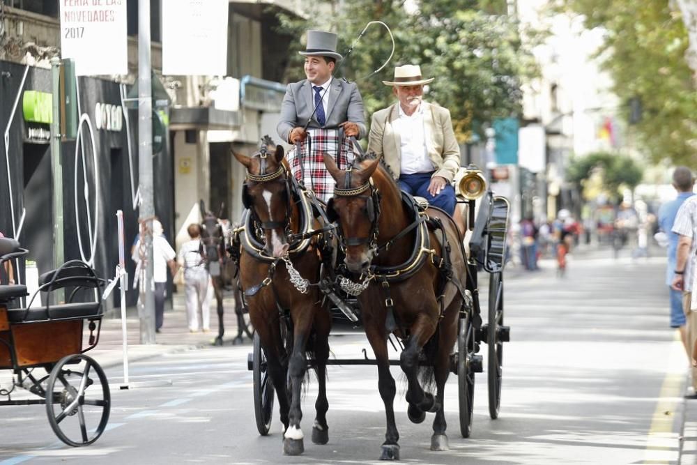 Día del Caballo en Alfonso X