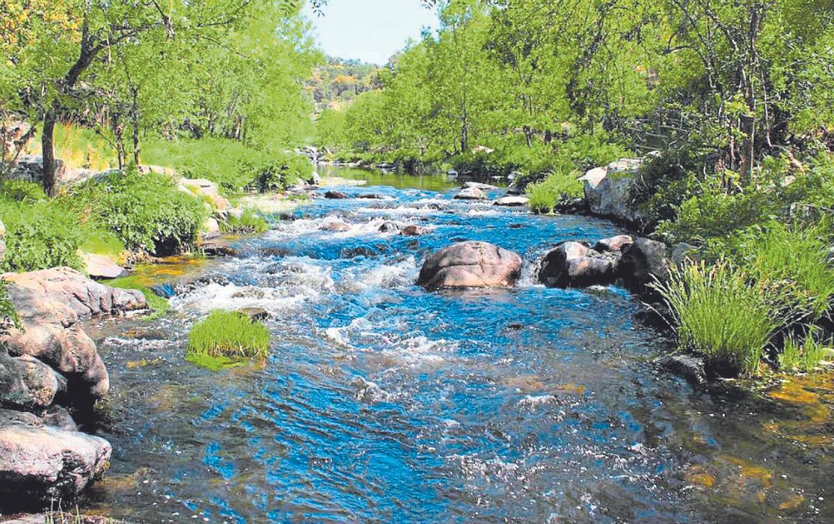 L’aigua d’un riu que travessa un espai natural