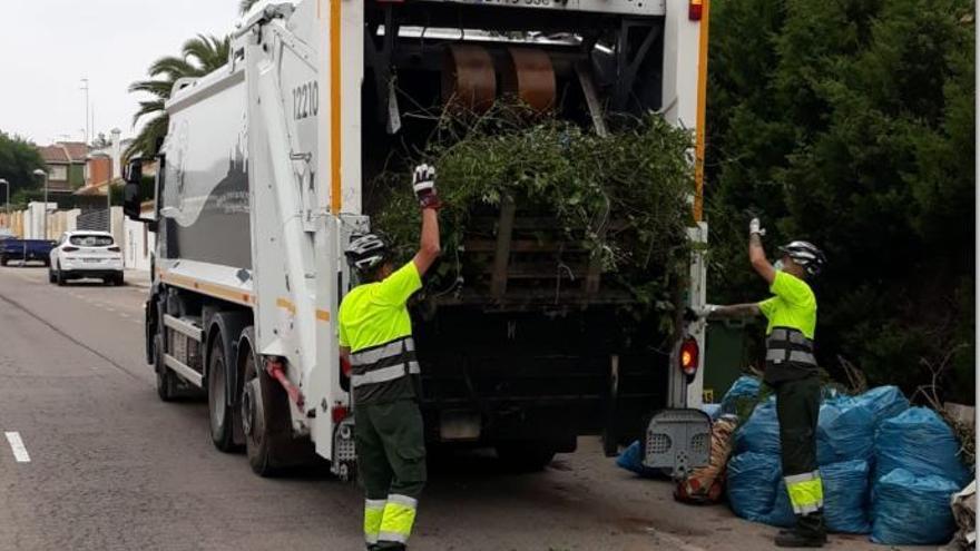 Recogida de poda en Paterna