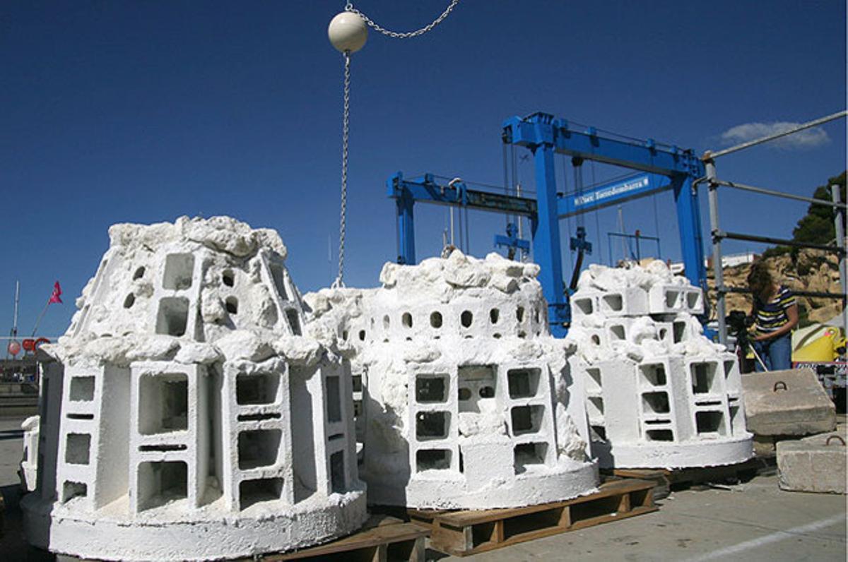 Les noves balises ecològiques de la platja de Torredembarra, que serveixen també com a refugi i zona de recolonització de peixos petits.