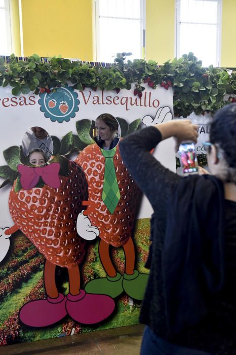 Feria de la fresa de Valsequillo, 2017