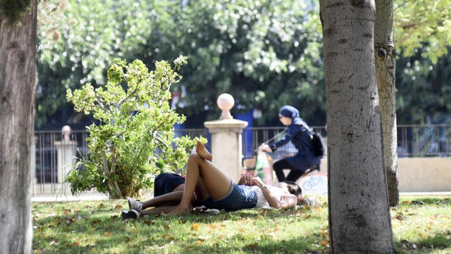 Una persona busca sombra tirada en el césped en Murcia.