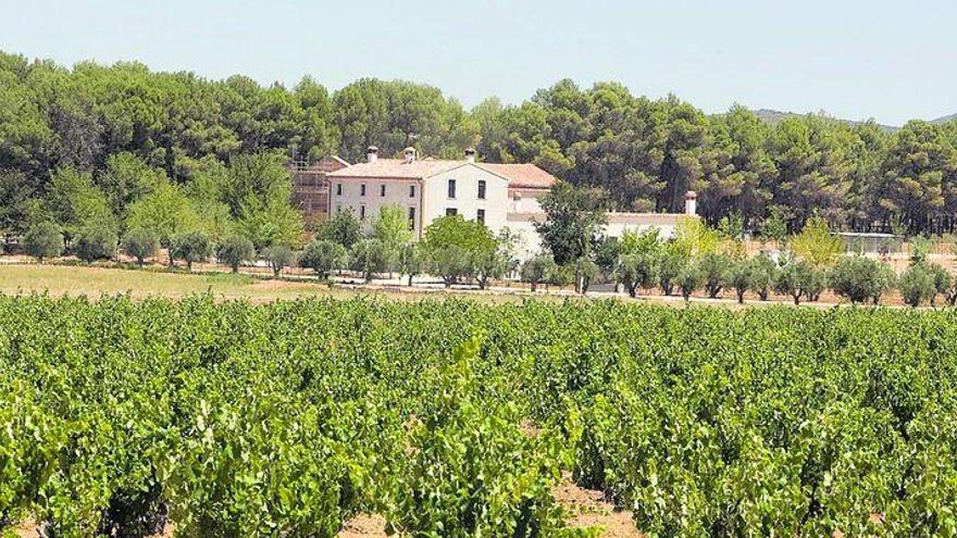 DO Valencia, vinos de calidad con marcado carácter mediterráneo