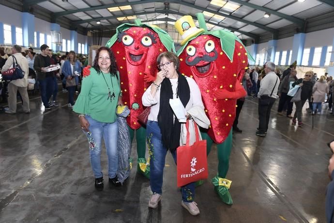 GRAN CANARIA 29-04-2018   VALSEQUILLO.  Feria de ...