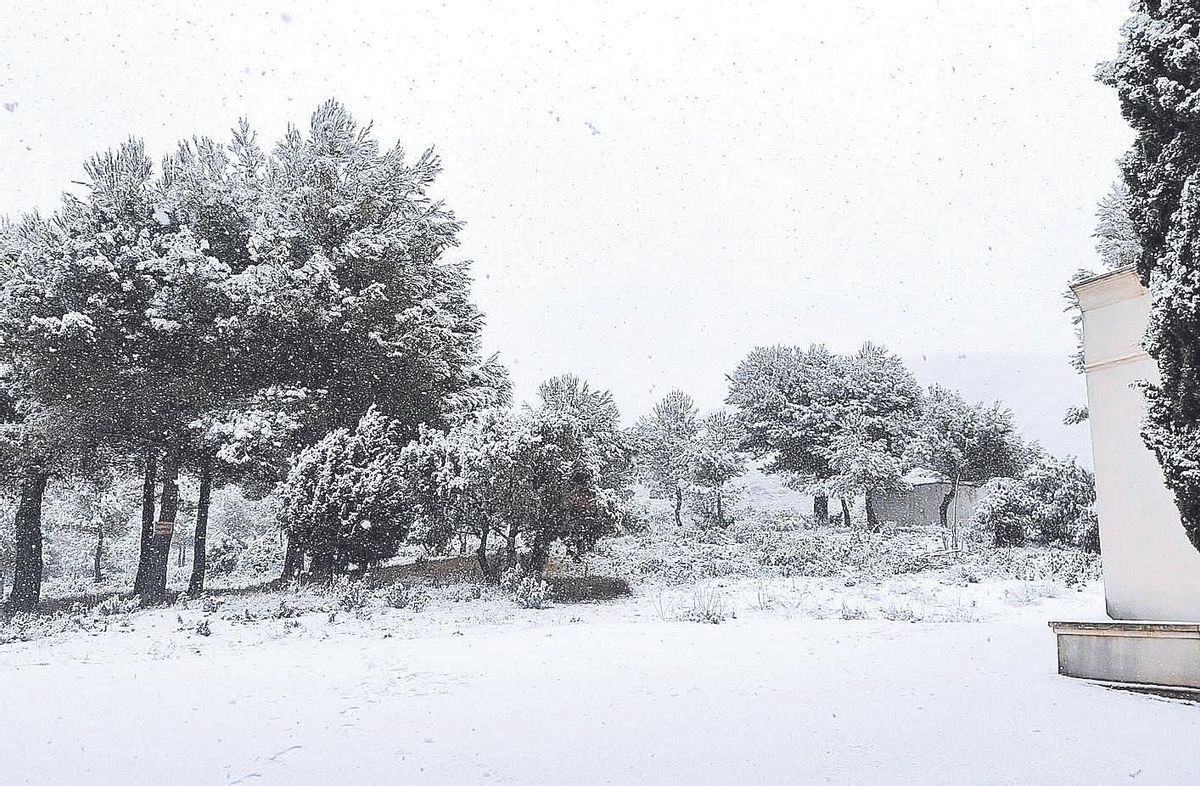 Fageca, bajo un manto blanco.