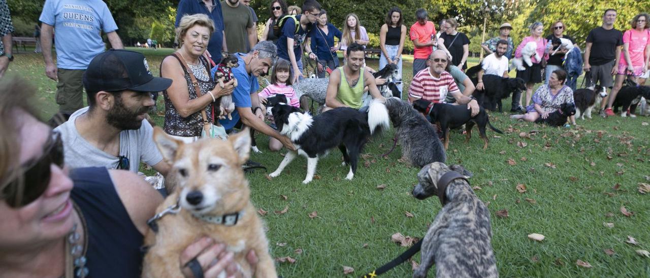 Avilesinos concentrados con sus mascotas este martes en el parque de Ferrera. | María Fuentes