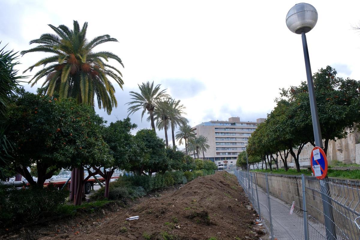 Las fotos de tres meses de obras en el Paseo Marítimo de Palma: De los ...