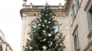 Visita al árbol de Navidad de Sant Jaume