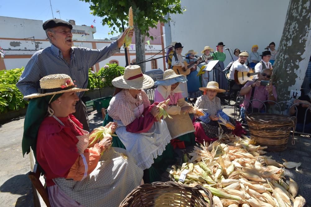 Feria de artesanía de Fontanales