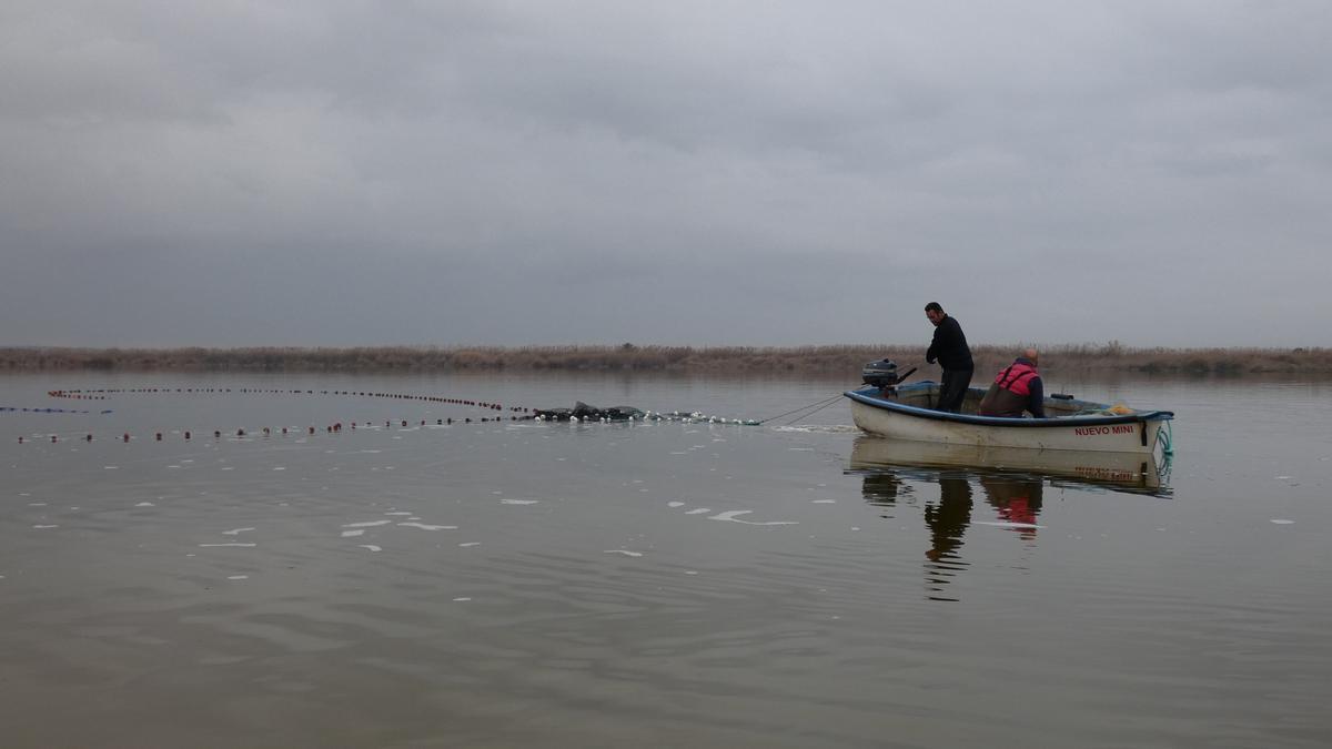 Los pescadores artesanales en El Hondo durante la campaña de pesca de la carpa.