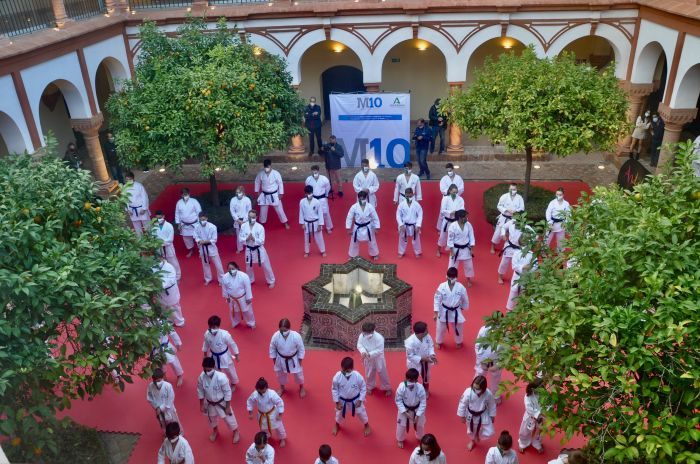 Exhibición de las escuelas de kárate en Palma del Río.