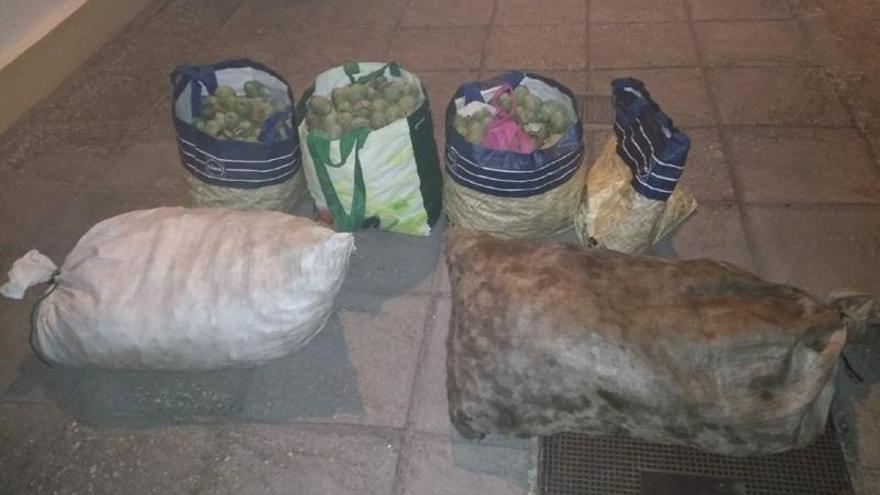 Sorprenden a cuatro individuos tras robar 120 kilos de nueces en Pueblonuevo del Guadiana