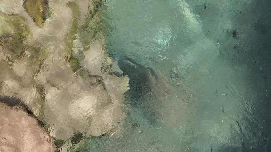 Las aguas cristalinas del Cañón de Almadenes
