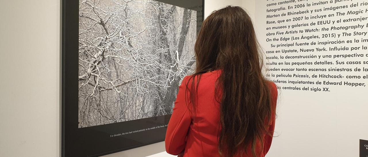 Visitantes observan las fotografías de Carolyn Marks que se exhiben en la sala de exposiciones de la Lonja en Alicante.