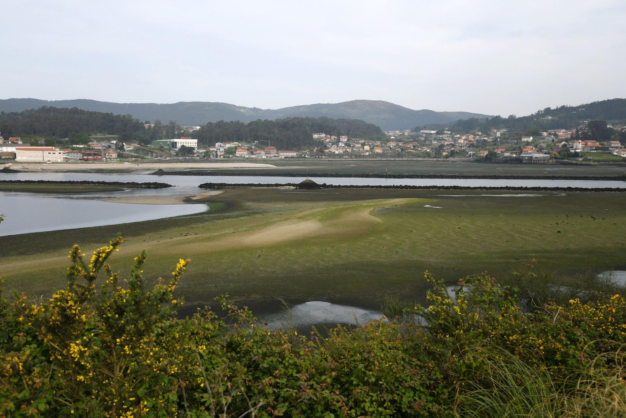 Caminando por el Lérez: las mareas vivas destapan el lecho del río