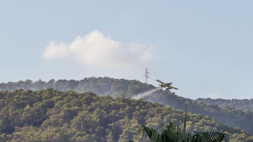 Gestión de los bosques en Ibiza: &quot;El fantasma del incendio siempre está ahí&quot;