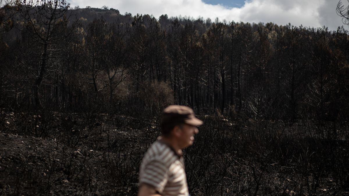 Incendio en Sierra de la Culebra: desolador paisaje de cenizas.