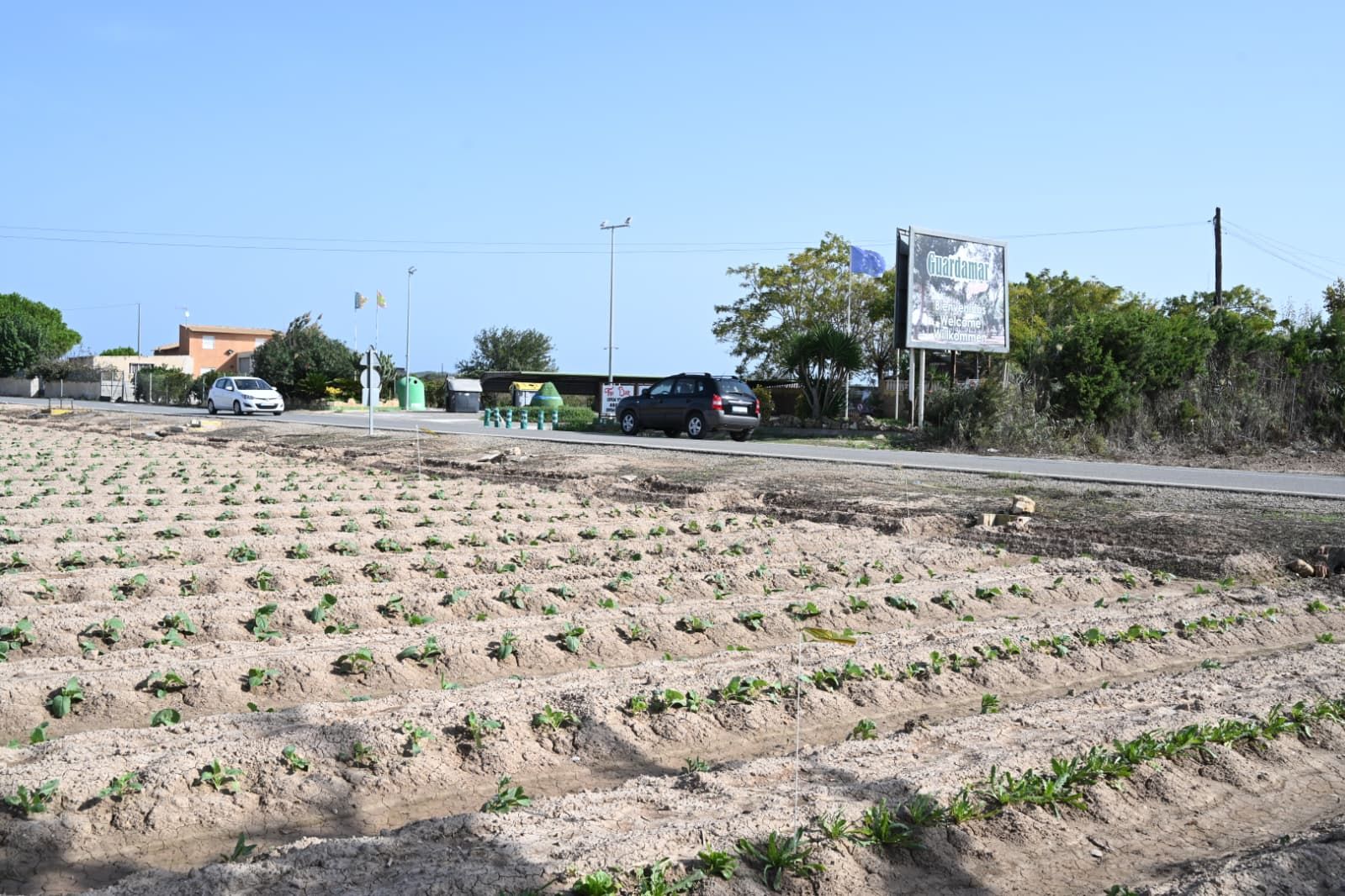 Camping de "mobil homes" en suelo no urbanizable e inundable de Guardamar