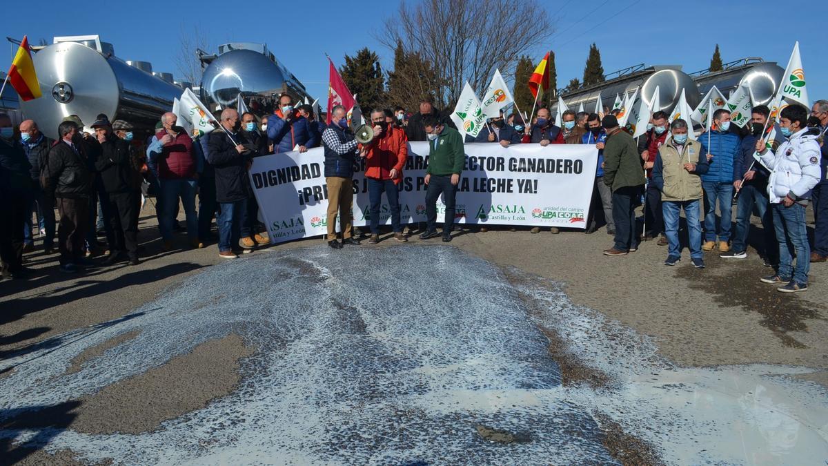 Ganaderos del sector lácteo derraman leche en un acto simbólico ante las puertas de una industria de Castrogonzalo. / E. P.