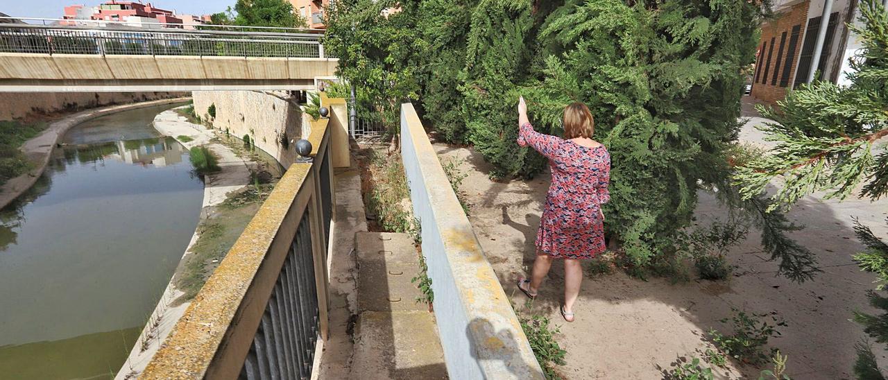 Desperfectos en la baranda de uno de los márgenes del río Segura y vegetación junto a la pasarela de Los Arcos.  | TONY SEVILLA