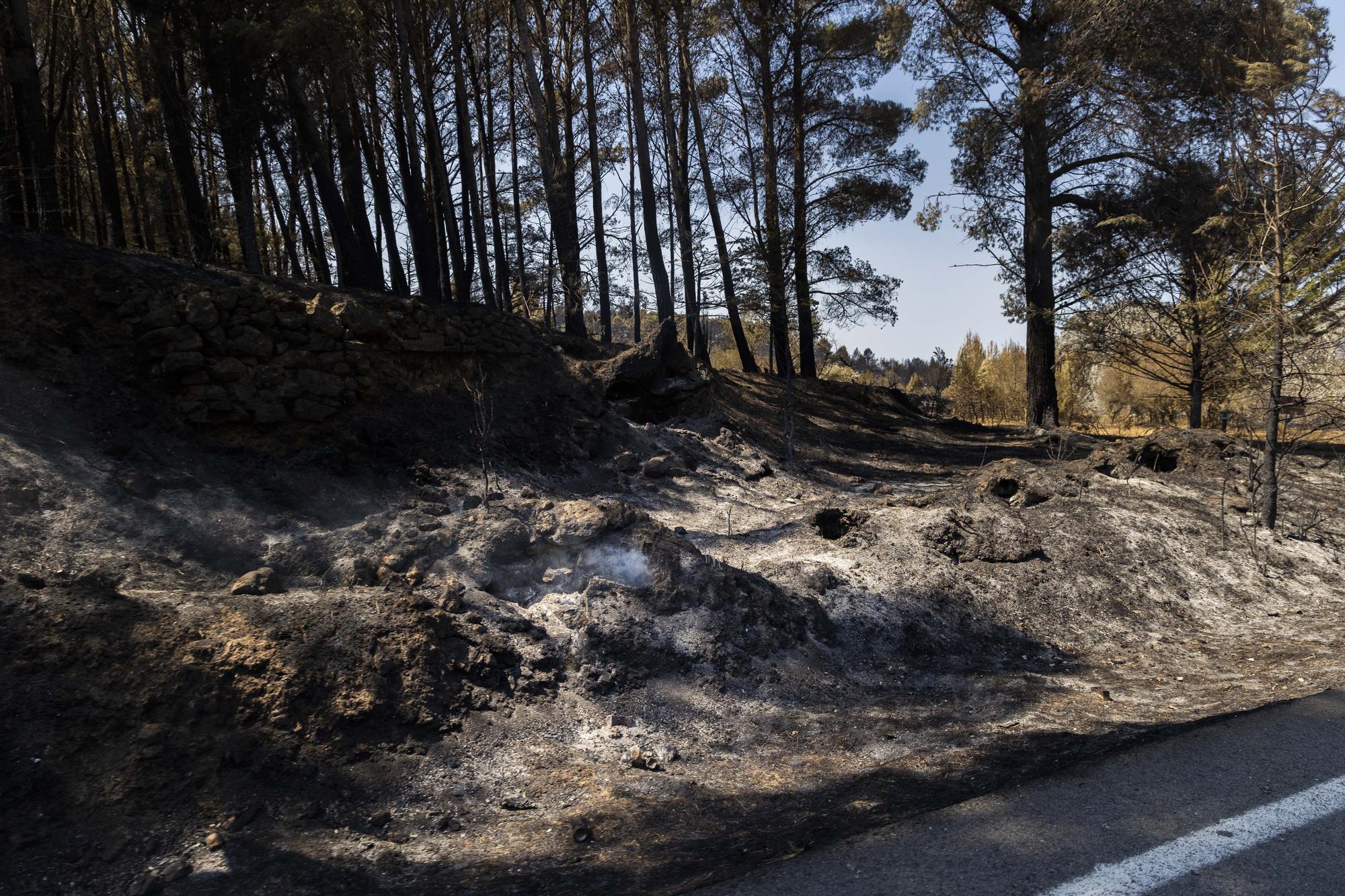 El incendio de Bejís, en imágenes