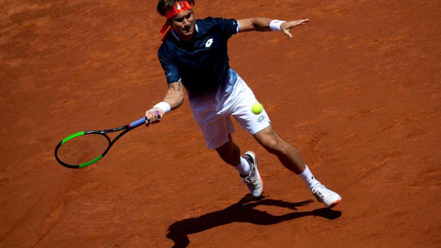 David Ferrer.