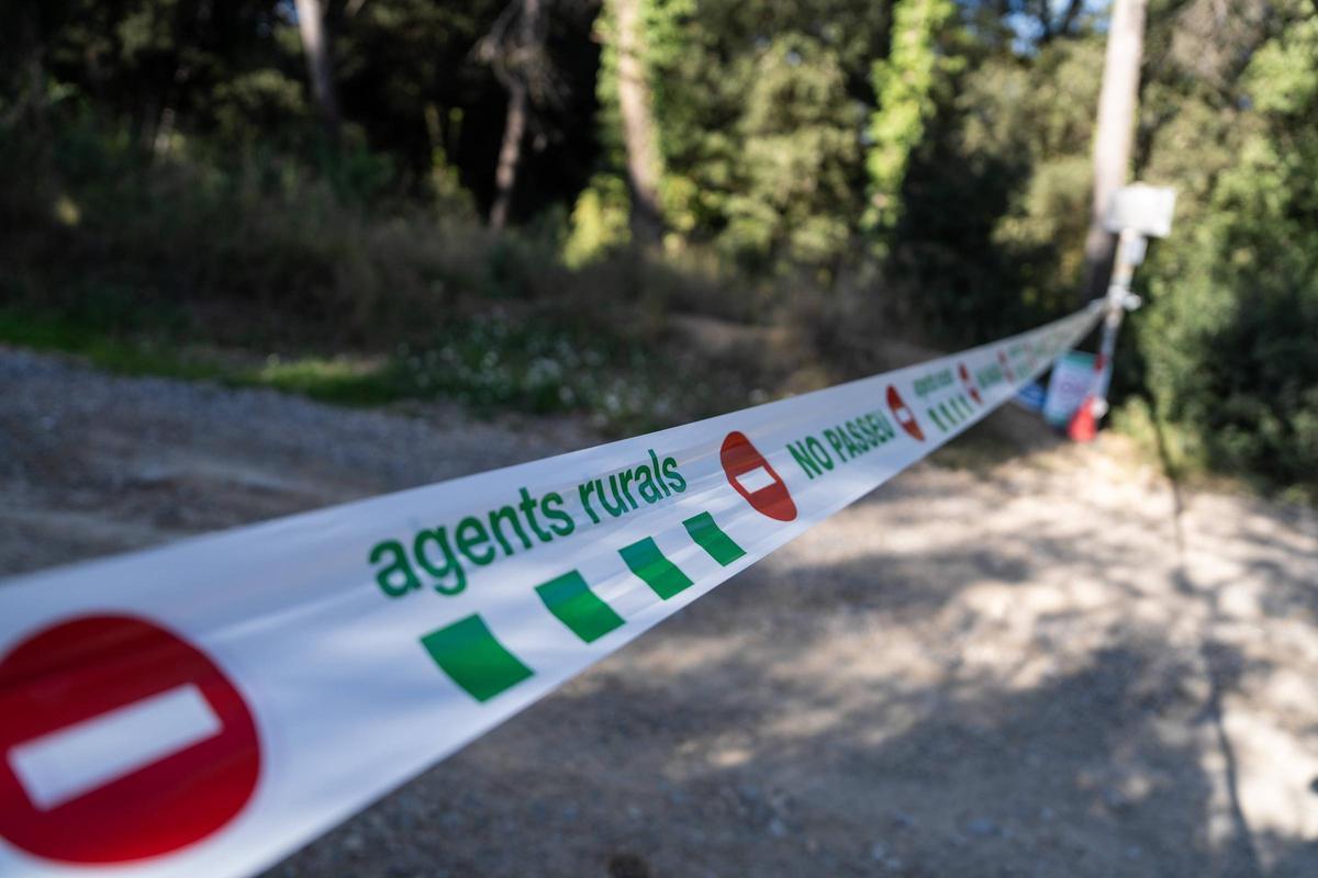 Efectivos de la UME y agentes rurales se reúnen en la zona declarada en cuarentena por la Peste Porcina Africana en Torreferrussa, antes de iniciar las tareas previstas.