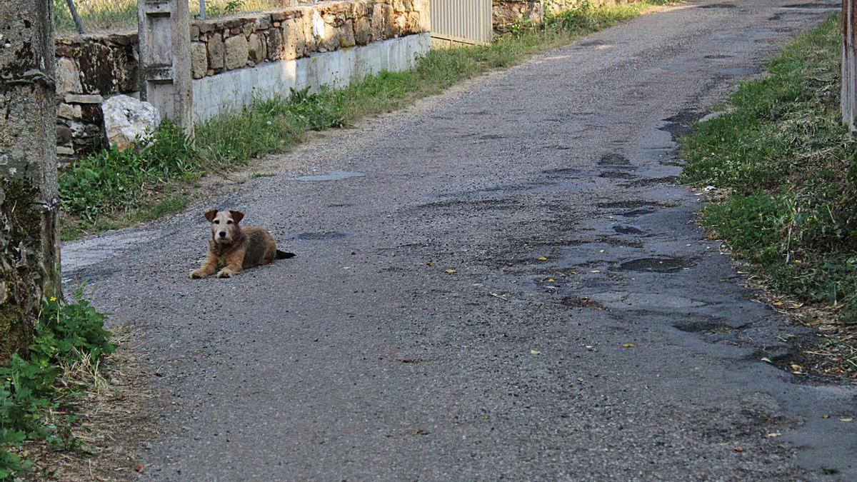 Calle principal de San Román de Sanabria, que los vecinos exigen que se repare. | A. S.