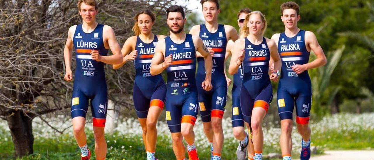 Cuatro frentes abiertos para el triatlón UA