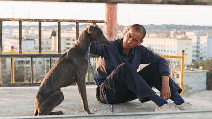 Black Dog