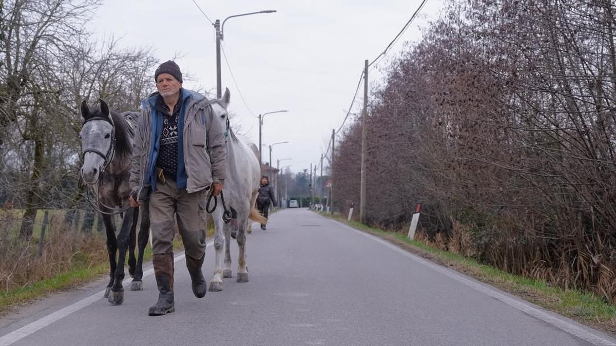 Así ha sido el viaje de un extremeño a La Meca a caballo