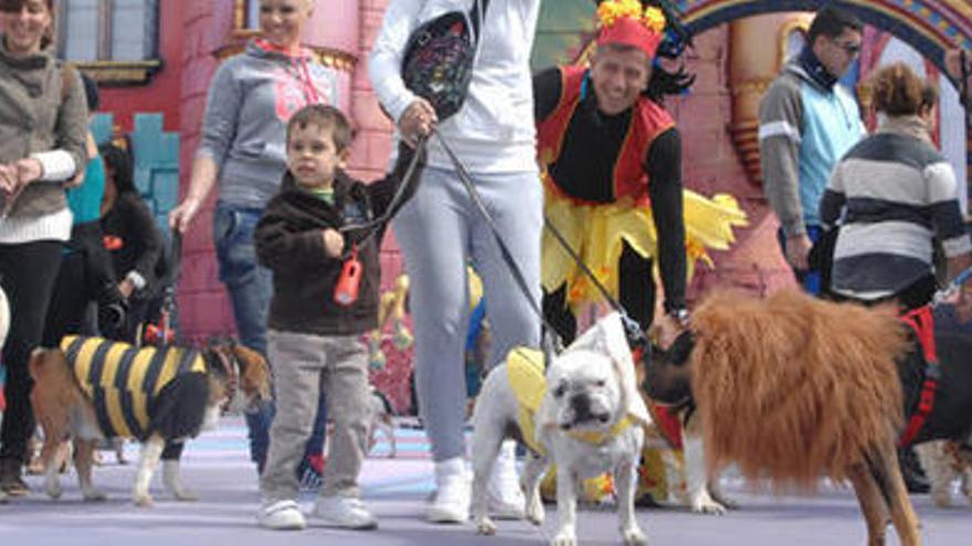 Carnaval Canino de 2014