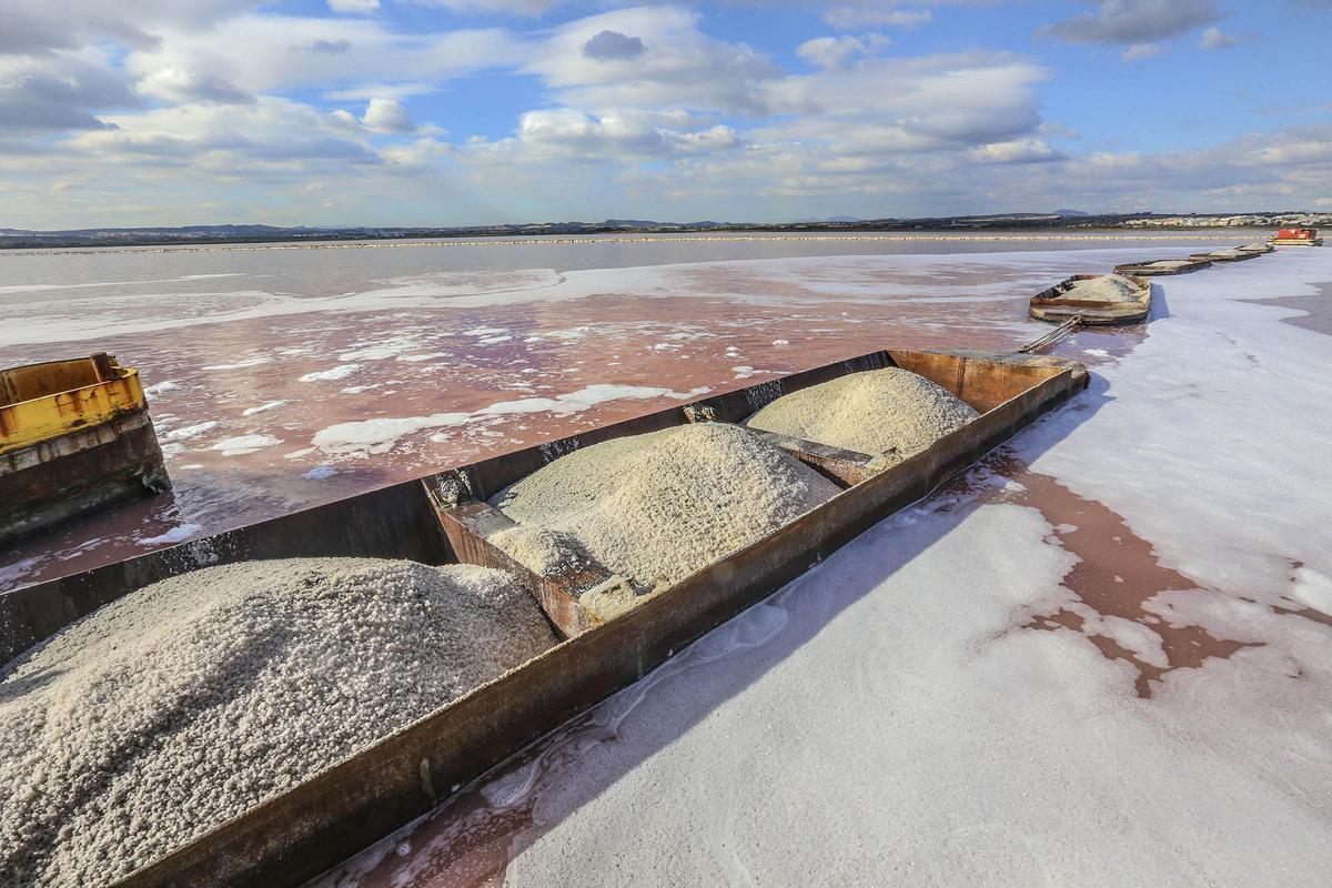 Laguna salinera de Torrevieja, también llamada laguna rosa. En la imagen las barcaza arrastran los &quot;raches&quot; cargados de sal