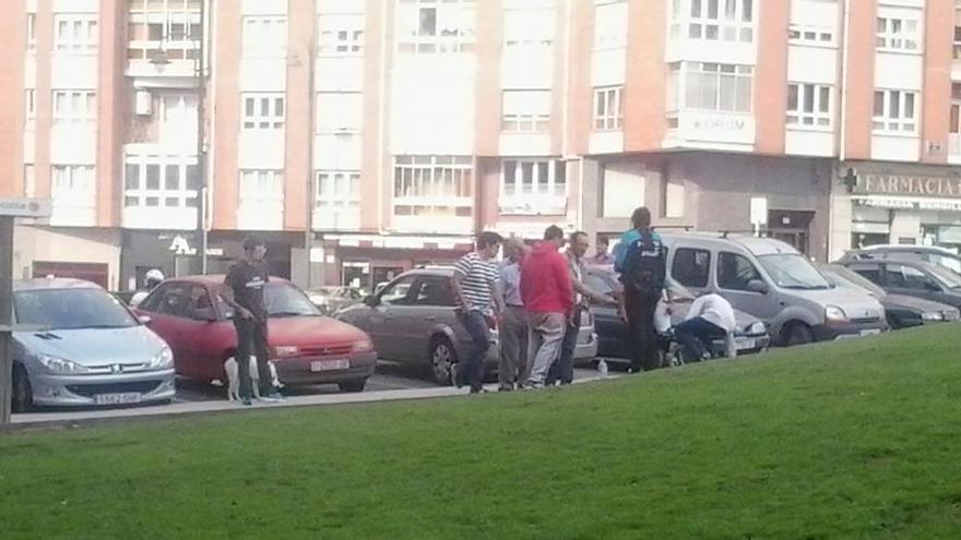 Una pelea de perros en la plaza de la Guitarra obliga a intervenir a la Policía Local