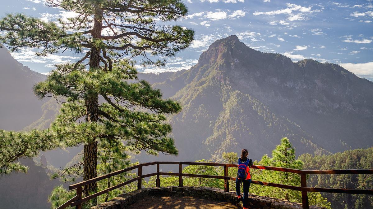 Caldera de Taburiente.