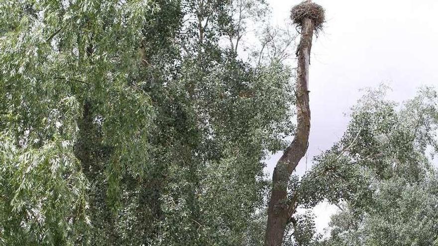 El Ayuntamiento cifra en un 10% el ahorro en el consumo de agua desde el año 2011