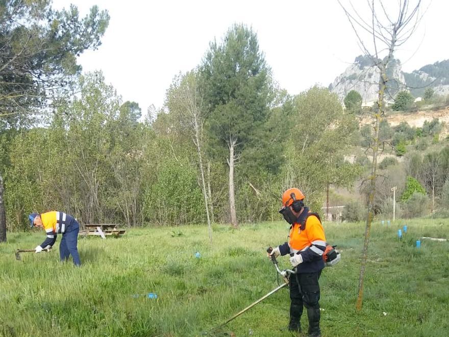 Operarios desbrozando y retirando la vegetación arrancada por la tormenta.