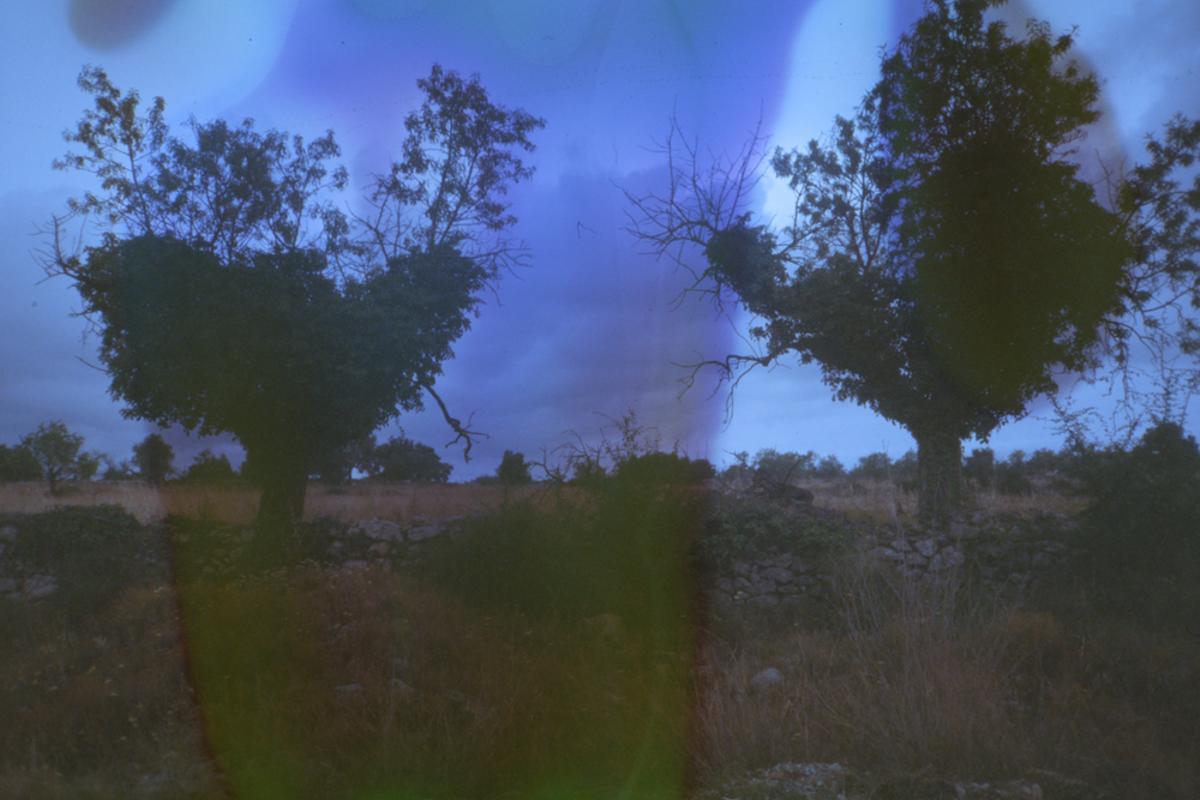 La reflexió sobre el món rural actual és un dels grans objectius del treball artístic del creador castellonenc.