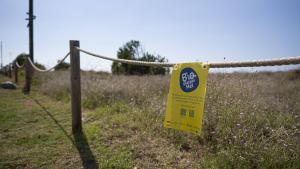 Dunas d ela playa de Castelldefels, con un cartel del BioPlatgesMet para animar a los usuarios a conocer mejor la fauna y flora de los arenales.